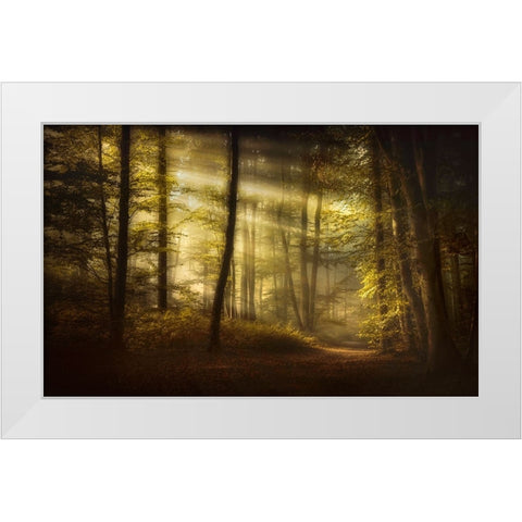 Autumnal Morning White Modern Wood Framed Art Print by Maier, Norbert
