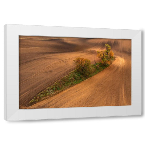 South Moravia White Modern Wood Framed Art Print by Kravanja, Jure