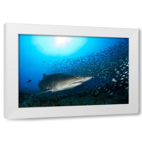 Big Head White Modern Wood Framed Art Print by Y Lin, Ryan