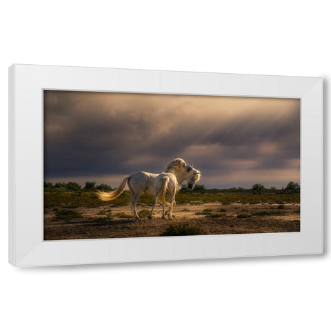 After The Storm...Light! A732210 White Modern Wood Framed Art Print by Joanaduenas