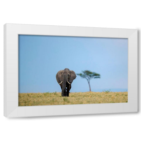 All Good Things Are Wild And Free ... White Modern Wood Framed Art Print by Roshkumar