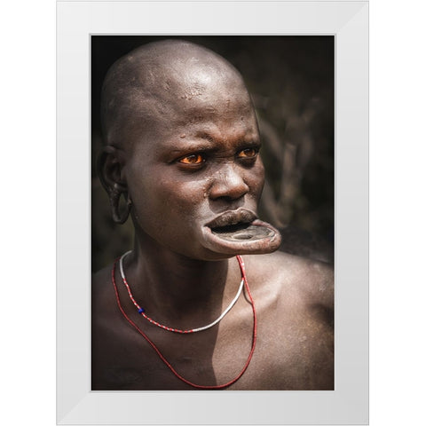 Labial Disc Family White Modern Wood Framed Art Print by Tianhuayu