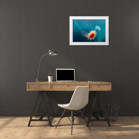Underwater Space White Modern Wood Framed Art Print by Narchuk, Andrey