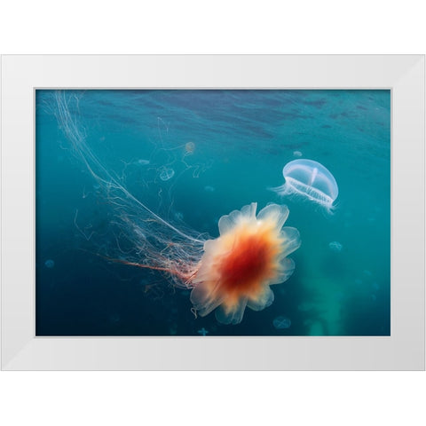 Underwater Space White Modern Wood Framed Art Print by Narchuk, Andrey