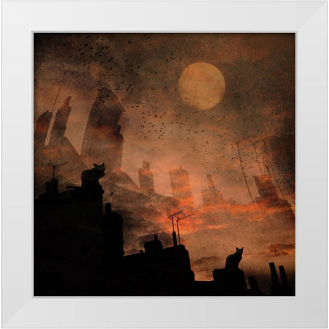 Day X... Cats... White Modern Wood Framed Art Print by Fabrowski, Robert