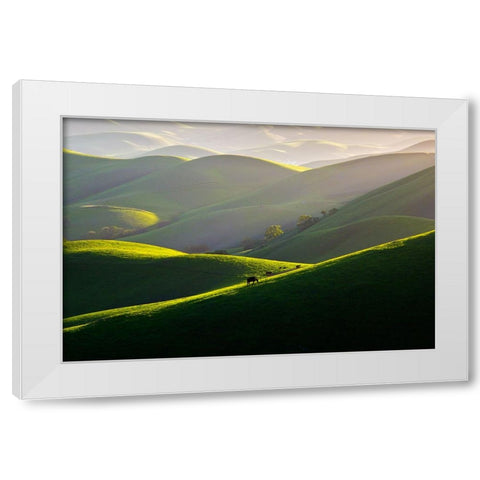 Afternoon Light On Hills White Modern Wood Framed Art Print by Mao, Dianne