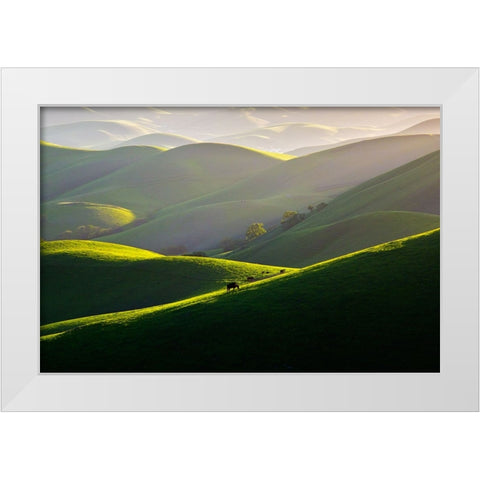 Afternoon Light On Hills White Modern Wood Framed Art Print by Mao, Dianne