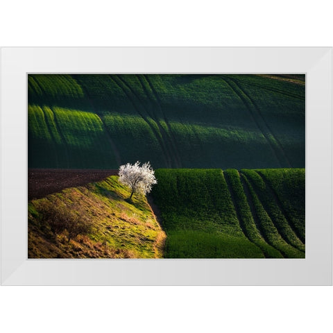 A Flowering Tree In The Waves White Modern Wood Framed Art Print by Uhrin, Milan