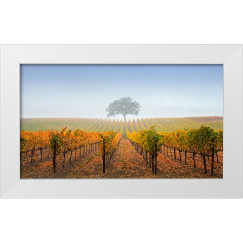 A Tree In A Vineyard White Modern Wood Framed Art Print by Mao, Dianne
