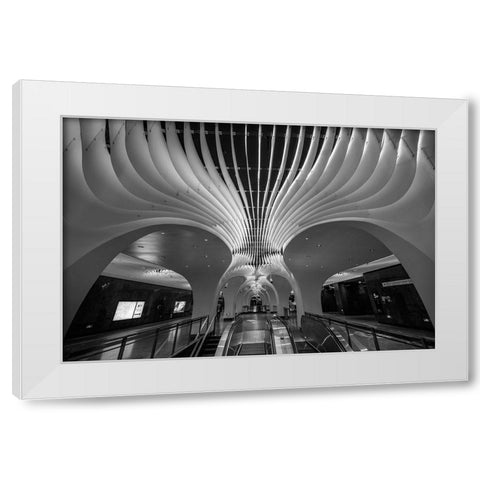 The Curves And Lighting White Modern Wood Framed Art Print by Ren Rong, Raymond
