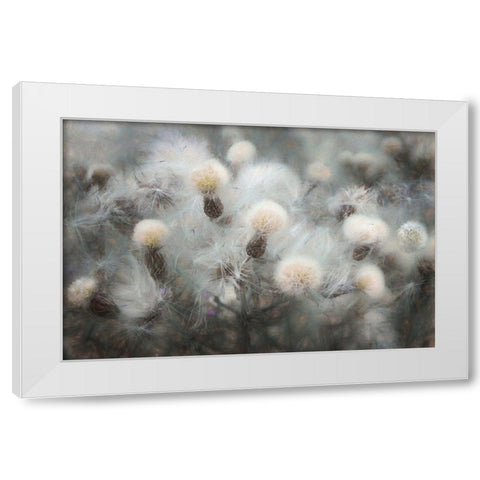 Free Fall White Modern Wood Framed Art Print by Claes, Gilbert