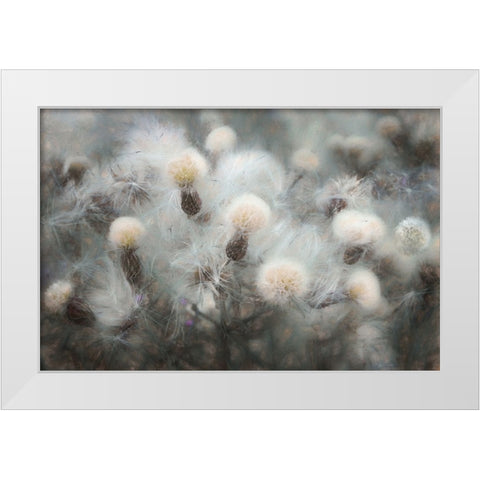 Free Fall White Modern Wood Framed Art Print by Claes, Gilbert