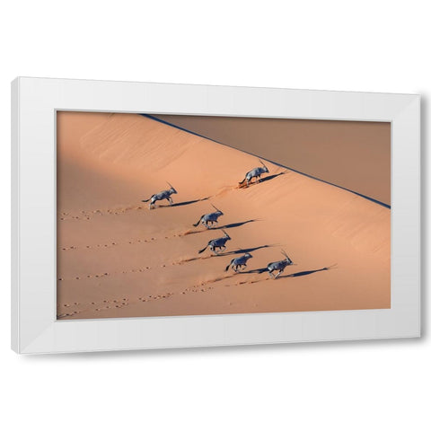 Oryx In The Desert White Modern Wood Framed Art Print by Li, Min