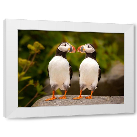 Hello White Modern Wood Framed Art Print by Dan, Kai