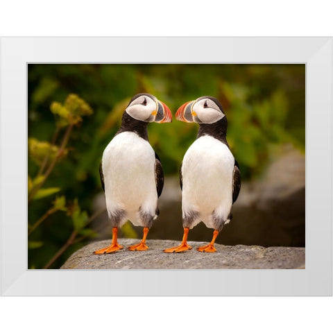 Hello White Modern Wood Framed Art Print by Dan, Kai