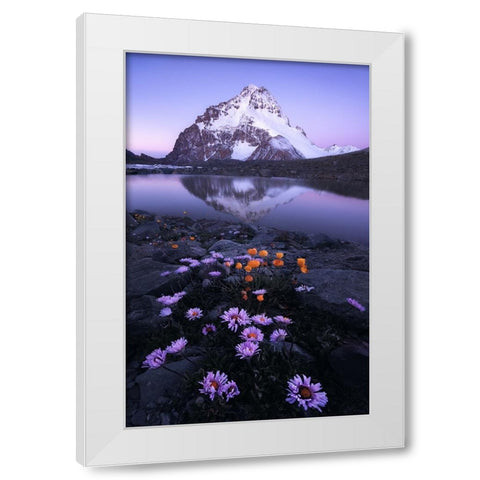 GodS Backyard White Modern Wood Framed Art Print by Hao, Damon
