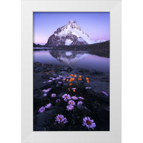 GodS Backyard White Modern Wood Framed Art Print by Hao, Damon