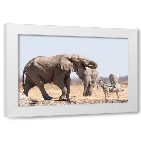 Cooling Bath In The Mud White Modern Wood Framed Art Print by Groth, Claudia