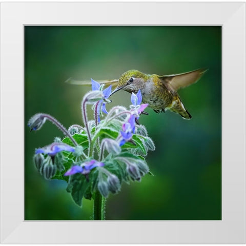 Good Taste White Modern Wood Framed Art Print by Huang, Xiaojian