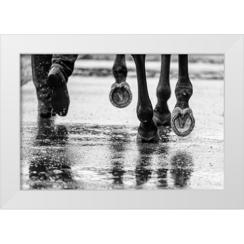 Water Hooves White Modern Wood Framed Art Print by Lee Chapman, Sharon