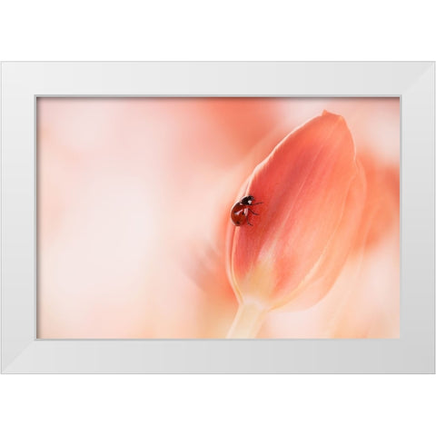 Simplicity White Modern Wood Framed Art Print by Van Deelen, Ellen