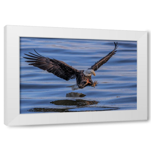 Catching White Modern Wood Framed Art Print by Zuo, Jun