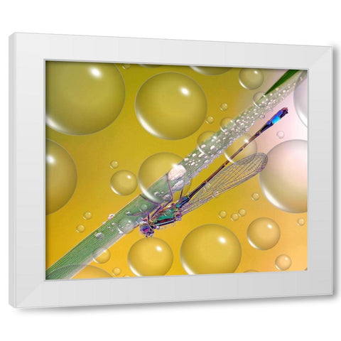 Anti-Heat Wave Dew... White Modern Wood Framed Art Print by Dufour, Thierry