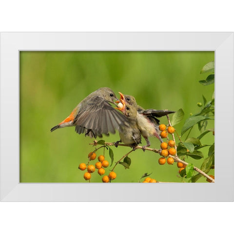 MotherS Love White Modern Wood Framed Art Print by Muliani Hartojo, Angela