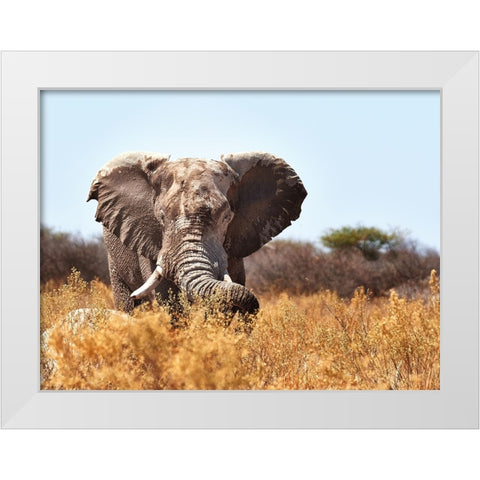 The Guard White Modern Wood Framed Art Print by Groth, Claudia