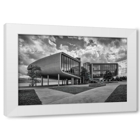 Botasn Center White Modern Wood Framed Art Print by Rodriguez De, Enrique