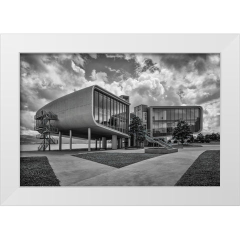 Botasn Center White Modern Wood Framed Art Print by Rodriguez De, Enrique