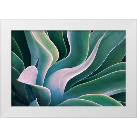 Shades Of Summer White Modern Wood Framed Art Print by Wechsler, Robin