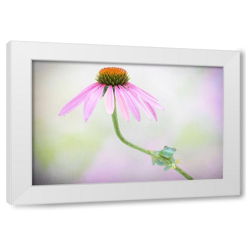 Protected White Modern Wood Framed Art Print by Doyle, Renee