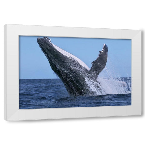 Power White Modern Wood Framed Art Print by Melesan, Serge