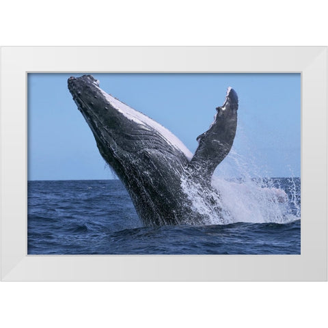 Power White Modern Wood Framed Art Print by Melesan, Serge