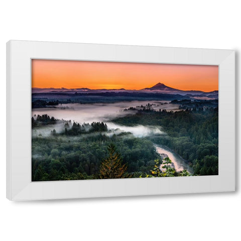 Morning Light White Modern Wood Framed Art Print by Jin, Jie