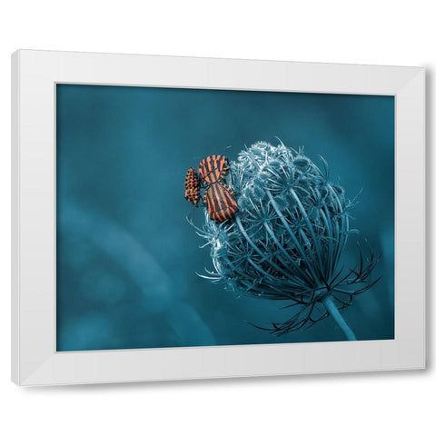 Macnage An Trois White Modern Wood Framed Art Print by Stefanel, Nicolae