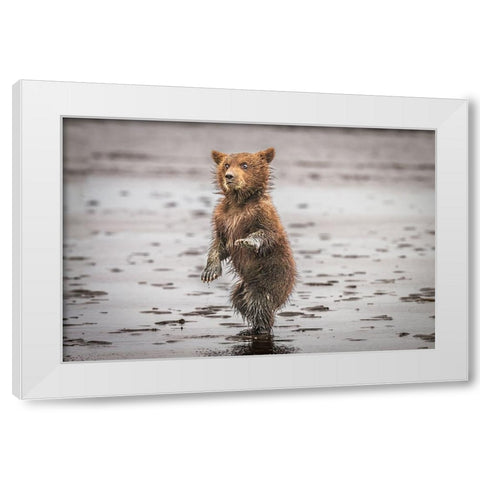 Qbustedq White Modern Wood Framed Art Print by C. Sink, Jeffrey