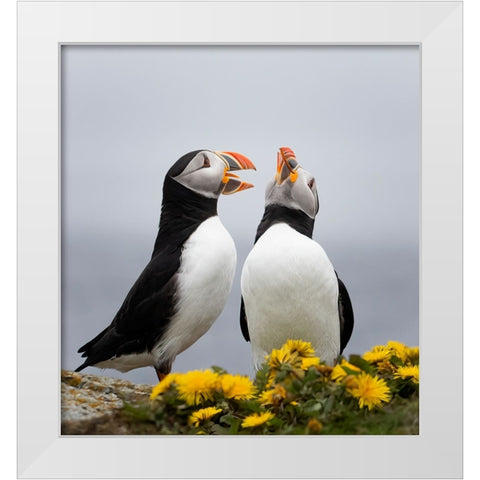 Singing Together White Modern Wood Framed Art Print by Fu, Molly
