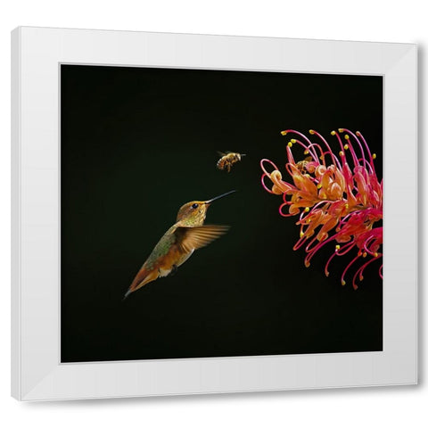 Having Fun Together White Modern Wood Framed Art Print by Huang, Xiaojian
