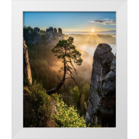 The Third Most Famous Pine Of Saxony Switzerland White Modern Wood Framed Art Print by Holic, Filip
