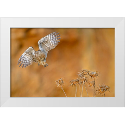 Careful White Modern Wood Framed Art Print by Rudaeff, Pablo