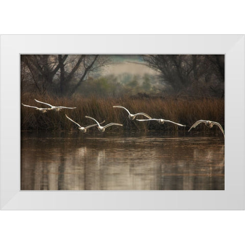 Fly To You White Modern Wood Framed Art Print by Liu, Wei