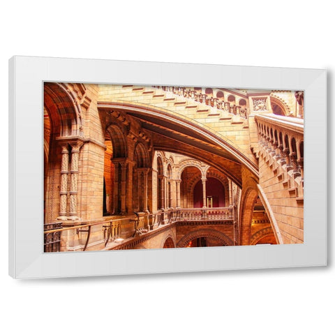 In Natural History Museum White Modern Wood Framed Art Print by Kogan, Anna