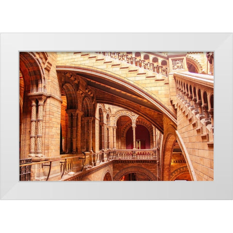 In Natural History Museum White Modern Wood Framed Art Print by Kogan, Anna