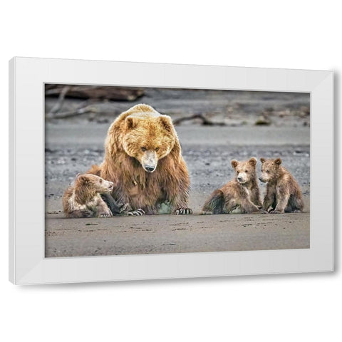 The Triplets White Modern Wood Framed Art Print by C. Sink, Jeffrey