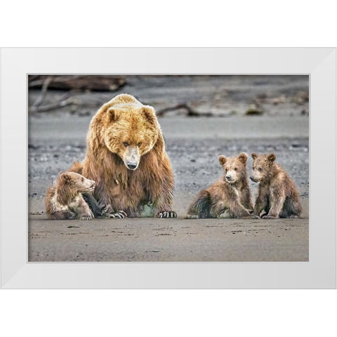 The Triplets White Modern Wood Framed Art Print by C. Sink, Jeffrey