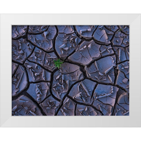 Cracking Beauty White Modern Wood Framed Art Print by P., Ruiqing