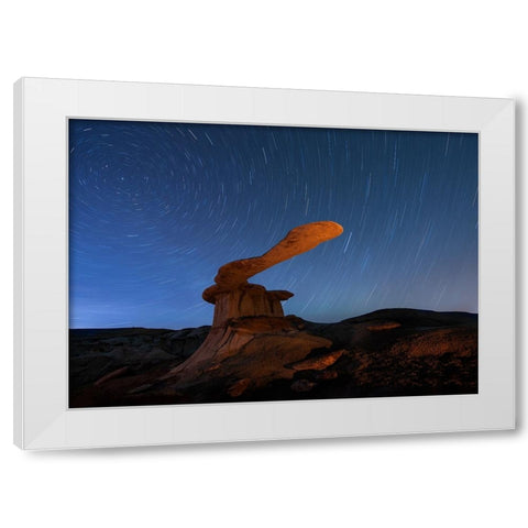 King Of Wings White Modern Wood Framed Art Print by Ji, Shirley