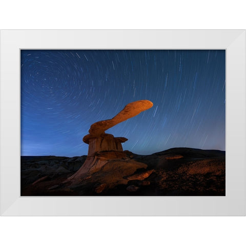 King Of Wings White Modern Wood Framed Art Print by Ji, Shirley